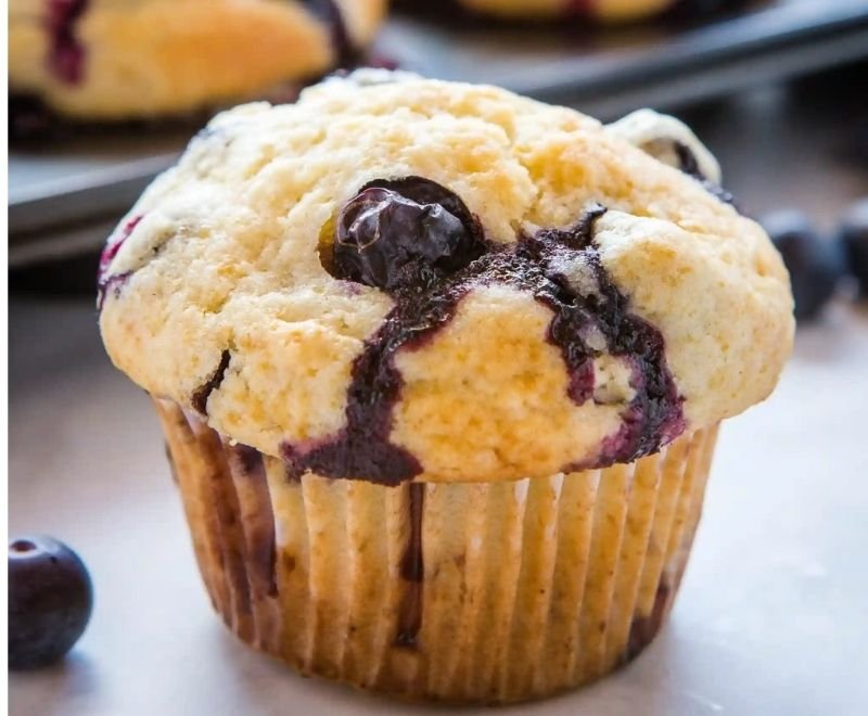 Blueberry Brownie